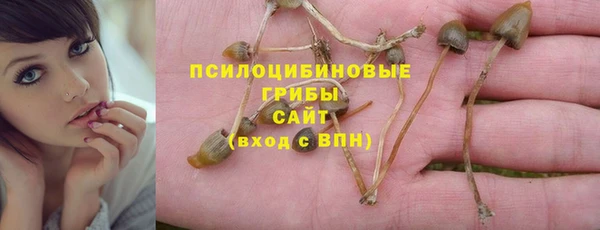 a pvp Сосновоборск